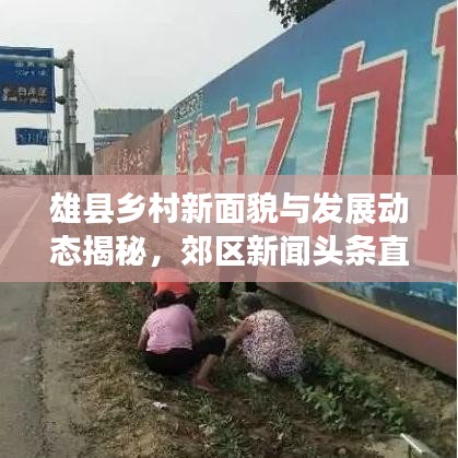 雄縣鄉(xiāng)村新面貌與發(fā)展動態(tài)揭秘，郊區(qū)新聞頭條直播報道