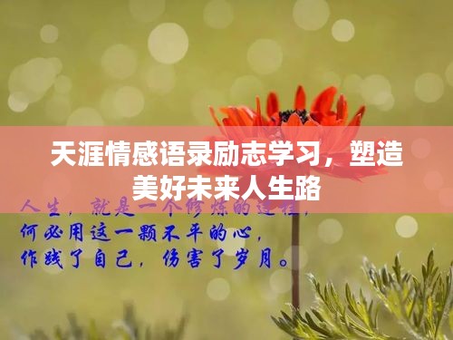 天涯情感語錄勵志學(xué)習(xí)，塑造美好未來人生路