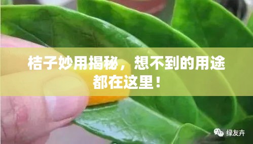 刻畫入微 第2頁