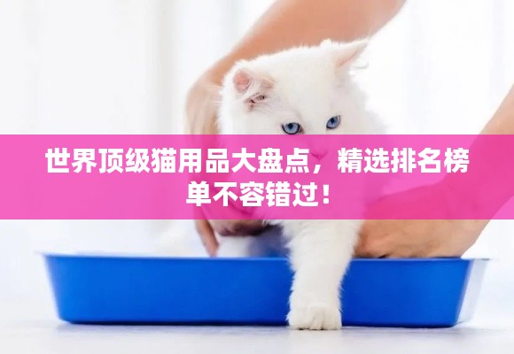 世界頂級貓用品大盤點，精選排名榜單不容錯過！