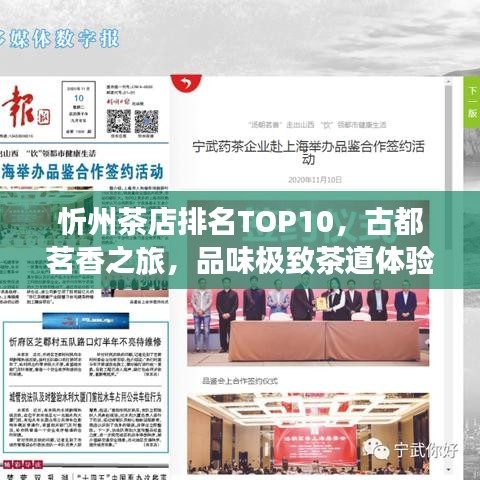 忻州茶店排名TOP10，古都茗香之旅，品味極致茶道體驗