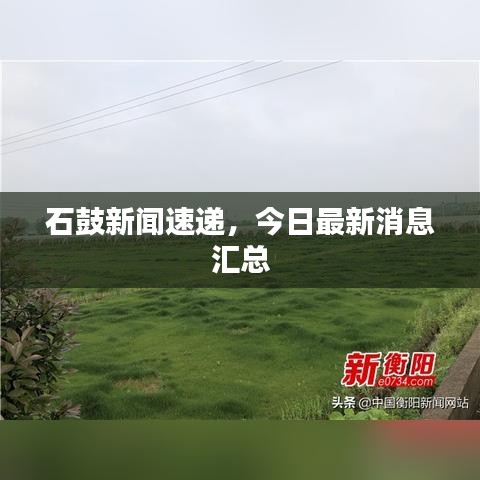 石鼓新聞速遞，今日最新消息匯總