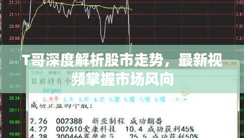 T哥深度解析股市走勢(shì)，最新視頻掌握市場(chǎng)風(fēng)向