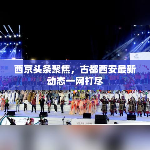 西京頭條聚焦，古都西安最新動(dòng)態(tài)一網(wǎng)打盡