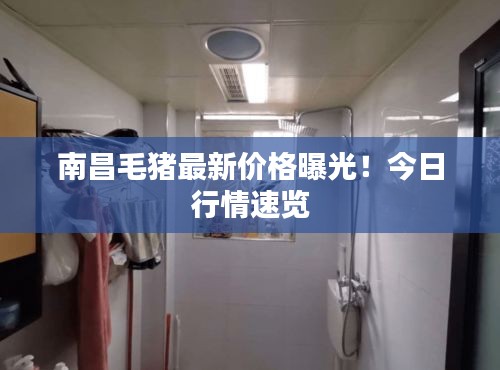 南昌毛豬最新價(jià)格曝光！今日行情速覽