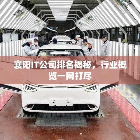 襄陽(yáng)IT公司排名揭秘，行業(yè)概覽一網(wǎng)打盡