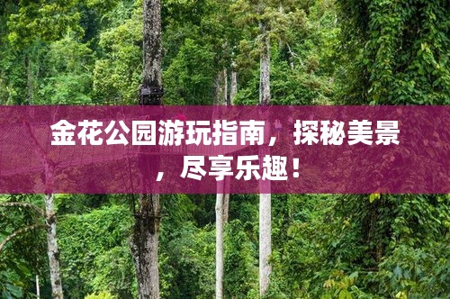 金花公園游玩指南，探秘美景，盡享樂趣！