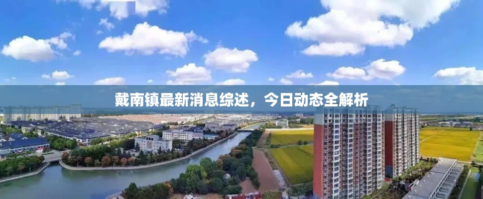 戴南鎮(zhèn)最新消息綜述，今日動態(tài)全解析