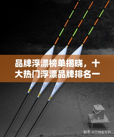 品牌浮漂榜單揭曉，十大熱門浮漂品牌排名一網(wǎng)打盡！