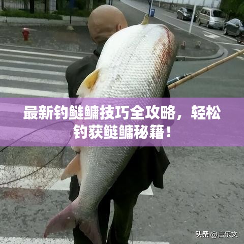 最新釣鰱鳙技巧全攻略，輕松釣獲鰱鳙秘籍！
