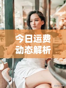 今日運費動態(tài)解析，最新趨勢一網(wǎng)打盡