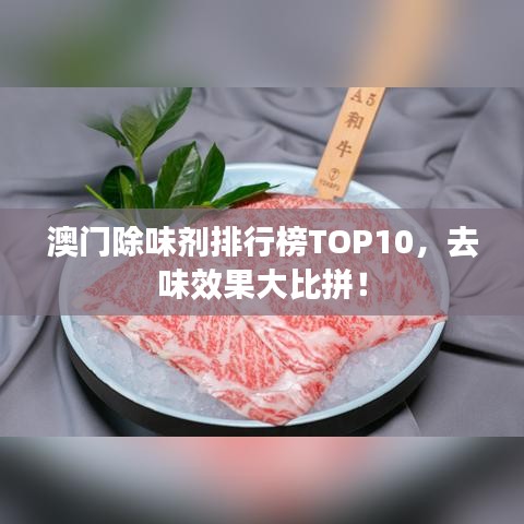澳門除味劑排行榜TOP10，去味效果大比拼！