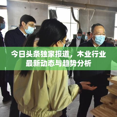 今日頭條獨(dú)家報(bào)道，木業(yè)行業(yè)最新動(dòng)態(tài)與趨勢(shì)分析
