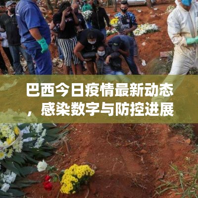 巴西今日疫情最新動態(tài)，感染數(shù)字與防控進展揭秘