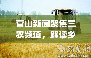 營山新聞聚焦三農(nóng)頻道，解讀鄉(xiāng)村發(fā)展新動(dòng)向，引領(lǐng)鄉(xiāng)村振興之路