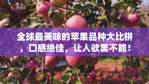 全球最美味的蘋果品種大比拼，口感絕佳，讓人欲罷不能！