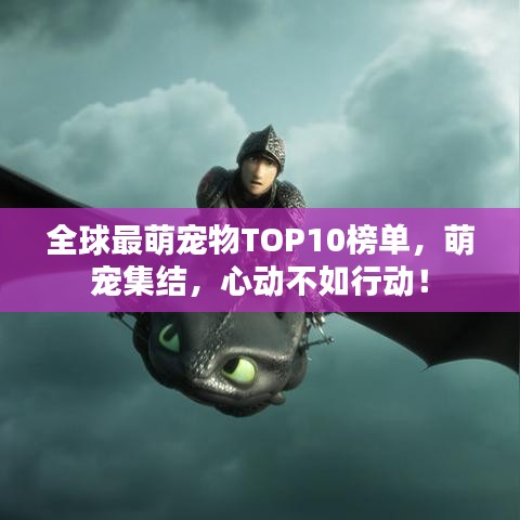 全球最萌寵物TOP10榜單，萌寵集結，心動不如行動！