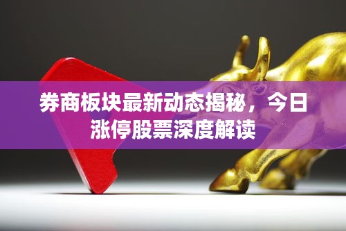 券商板塊最新動態(tài)揭秘，今日漲停股票深度解讀
