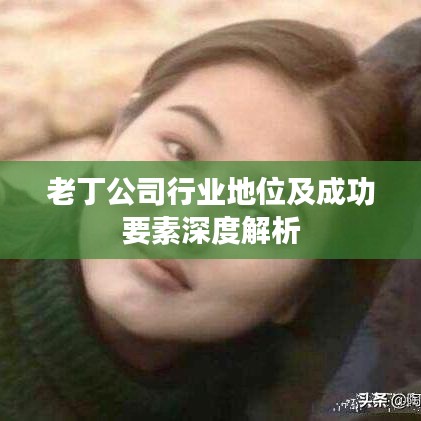 老丁公司行業(yè)地位及成功要素深度解析