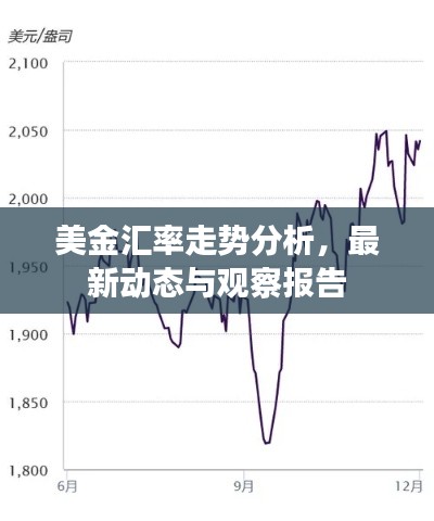 美金匯率走勢分析，最新動態(tài)與觀察報告