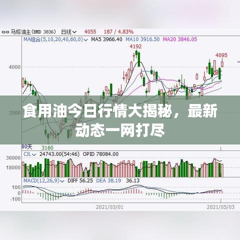 食用油今日行情大揭秘，最新動(dòng)態(tài)一網(wǎng)打盡