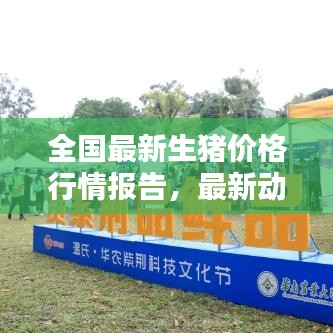 全國最新生豬價(jià)格行情報(bào)告，最新動(dòng)態(tài)一網(wǎng)打盡