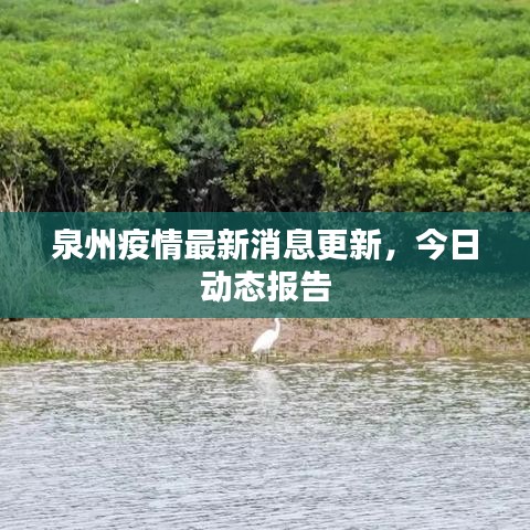 泉州疫情最新消息更新，今日動態(tài)報告