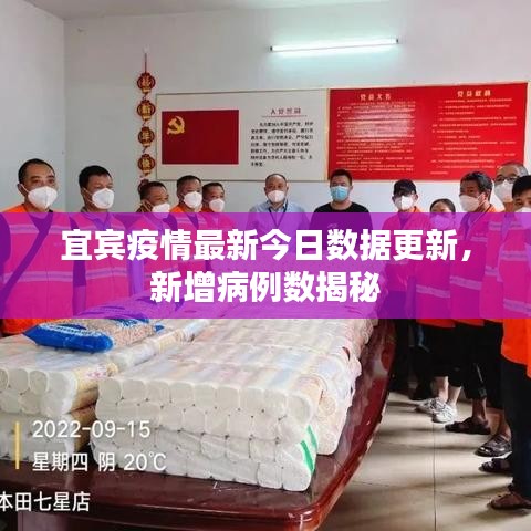 宜賓疫情最新今日數(shù)據(jù)更新，新增病例數(shù)揭秘