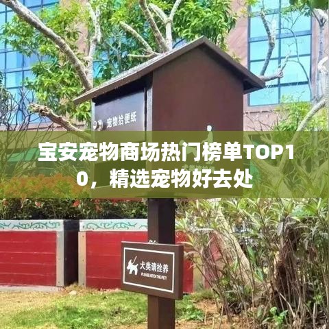 寶安寵物商場熱門榜單TOP10，精選寵物好去處