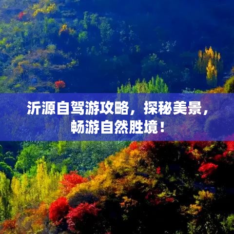 新聞中心 第51頁