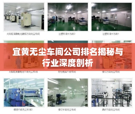 宜黃無(wú)塵車(chē)間公司排名揭秘與行業(yè)深度剖析