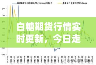 白糖期貨行情實(shí)時(shí)更新，今日走勢(shì)分析與市場(chǎng)洞察