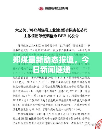 鄭煤最新動態(tài)報道，今日新聞速遞