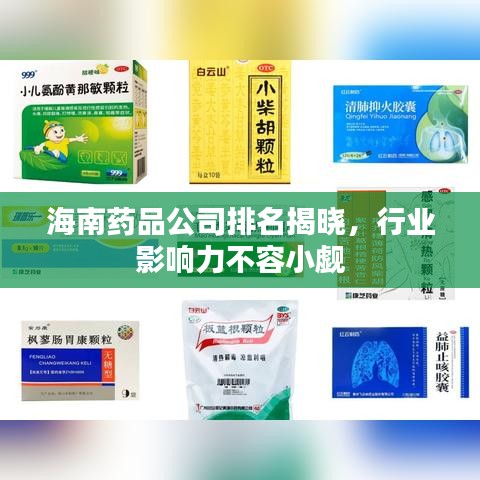 海南藥品公司排名揭曉，行業(yè)影響力不容小覷