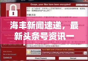 海豐新聞速遞，最新頭條號資訊一網(wǎng)打盡