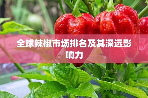 全球辣椒市場(chǎng)排名及其深遠(yuǎn)影響力