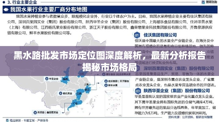黑水路批發(fā)市場定位圖深度解析，最新分析報告揭秘市場格局