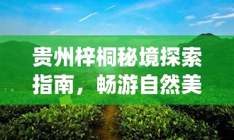 貴州梓桐秘境探索指南，暢游自然美景，體驗(yàn)獨(dú)特文化