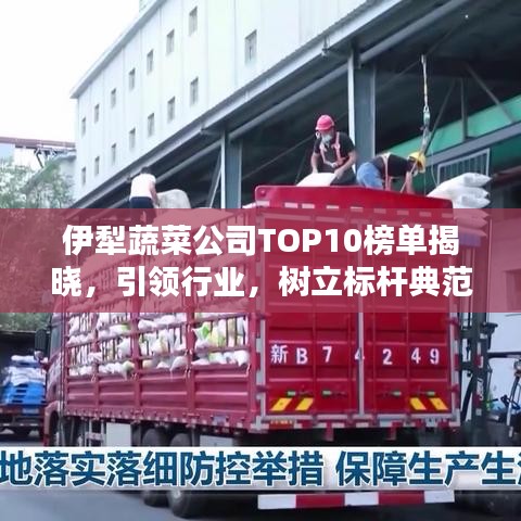 伊犁蔬菜公司TOP10榜單揭曉，引領(lǐng)行業(yè)，樹立標(biāo)桿典范