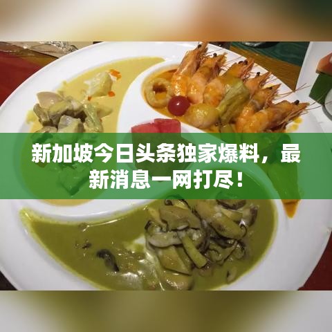新加坡今日頭條獨(dú)家爆料，最新消息一網(wǎng)打盡！