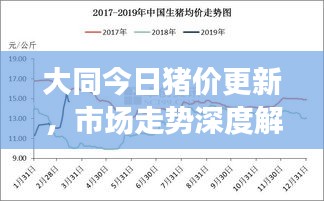 大同今日豬價(jià)更新，市場走勢深度解析與影響因素探討