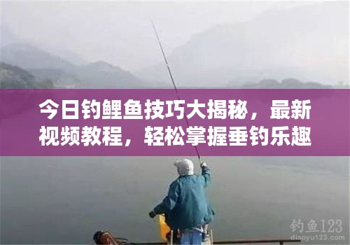 今日釣鯉魚技巧大揭秘，最新視頻教程，輕松掌握垂釣樂趣！