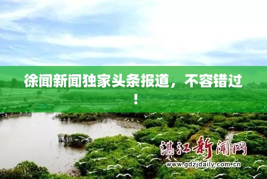 徐聞新聞獨(dú)家頭條報(bào)道，不容錯(cuò)過！