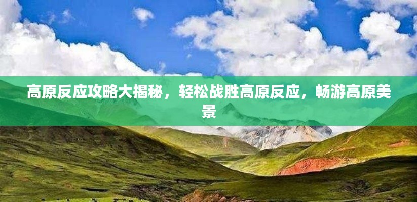 高原反應(yīng)攻略大揭秘，輕松戰(zhàn)勝高原反應(yīng)，暢游高原美景