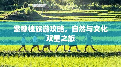 紫穗槐旅游攻略，自然與文化雙重之旅