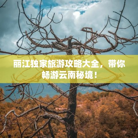 麗江獨家旅游攻略大全，帶你暢游云南秘境！