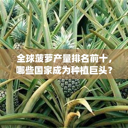 全球菠蘿產(chǎn)量排名前十，哪些國家成為種植巨頭？