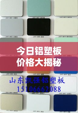 公司簡介 第46頁