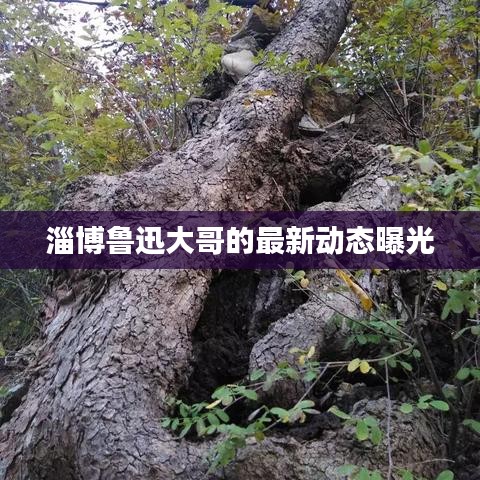 淄博魯迅大哥的最新動(dòng)態(tài)曝光