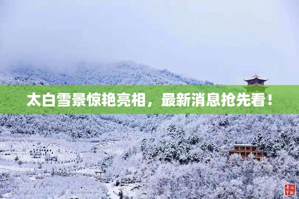 太白雪景驚艷亮相，最新消息搶先看！